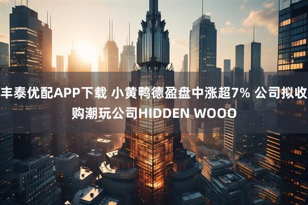 丰泰优配APP下载 小黄鸭德盈盘中涨超7% 公司拟收购潮玩公司HIDDEN WOOO
