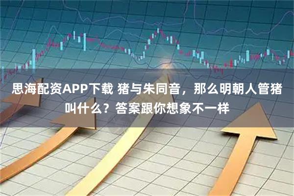 思海配资APP下载 猪与朱同音，那么明朝人管猪叫什么？答案跟你想象不一样