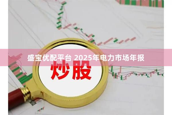 盛宝优配平台 2025年电力市场年报