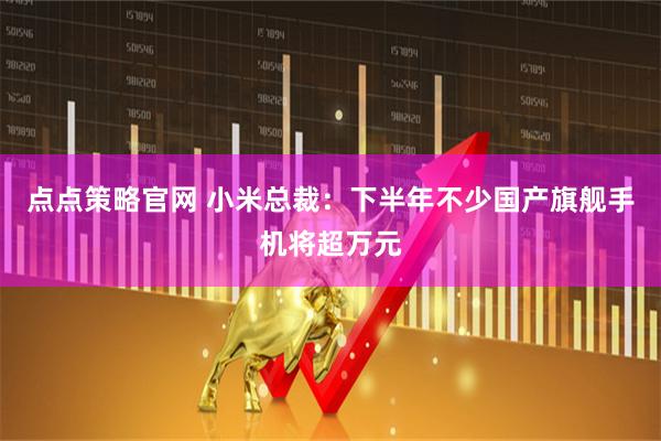点点策略官网 小米总裁：下半年不少国产旗舰手机将超万元